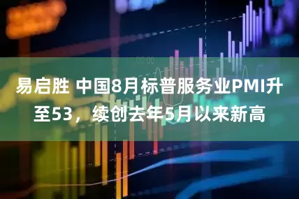 易启胜 中国8月标普服务业PMI升至53，续创去年5月以来新高