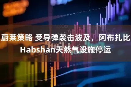 蔚莱策略 受导弹袭击波及，阿布扎比Habshan天然气设施停运